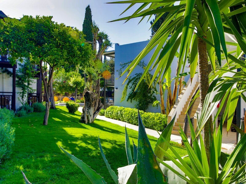 Bitez Garden