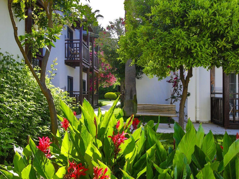 Bitez Garden