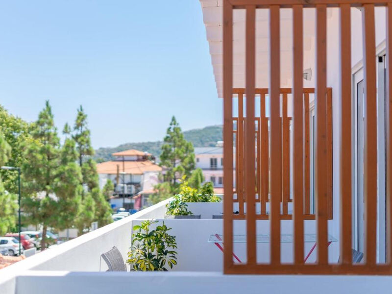 Bivalvia Beach Plus