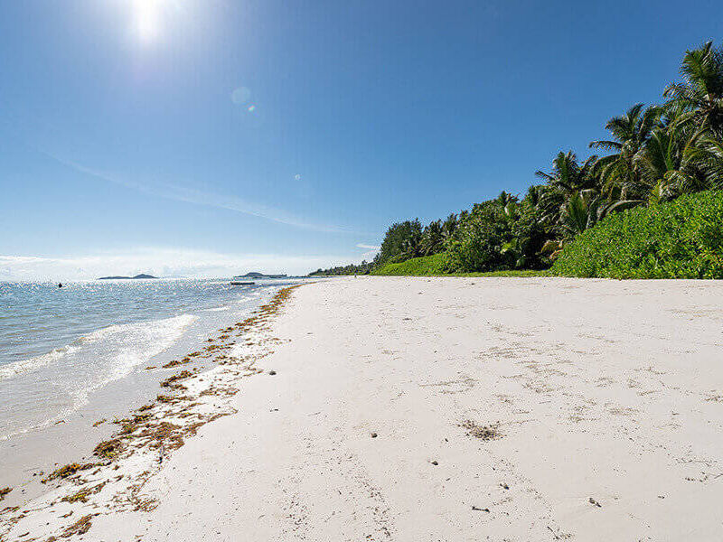 Bliss Praslin