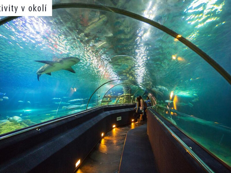 Blue Ocean Resort