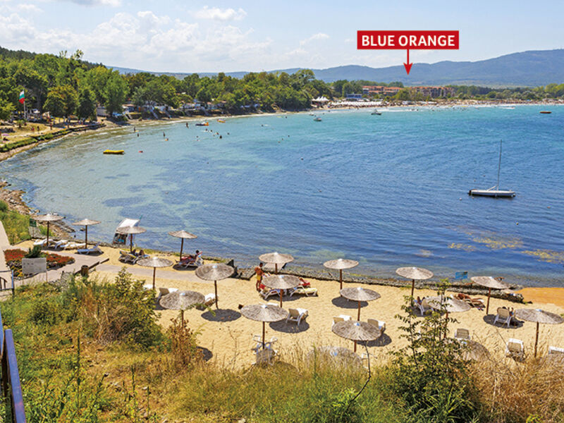 Blue Orange
