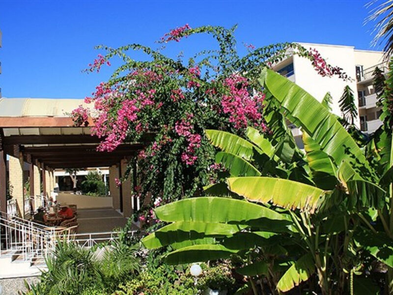 Blue Sea Beach Resort