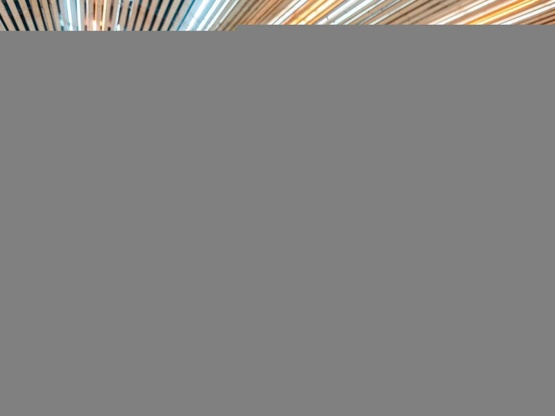 Bohemia Suites & Spa