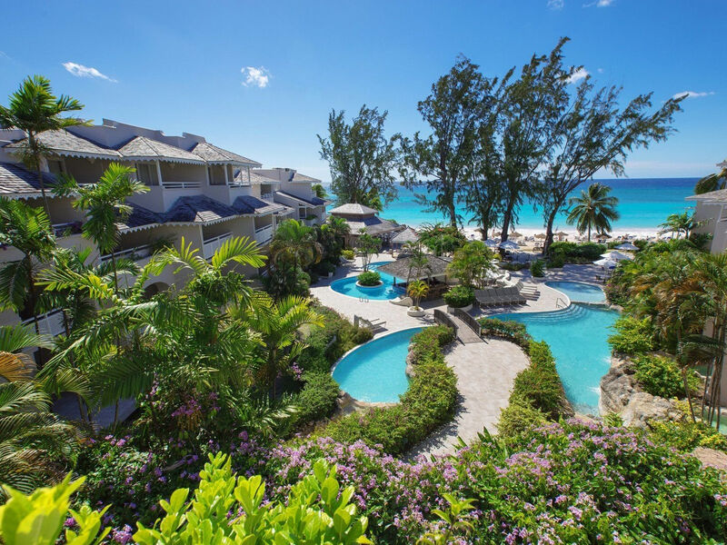 Bougainvillea Barbados