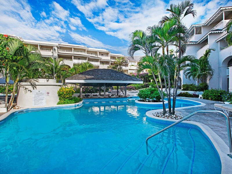 Bougainvillea Barbados