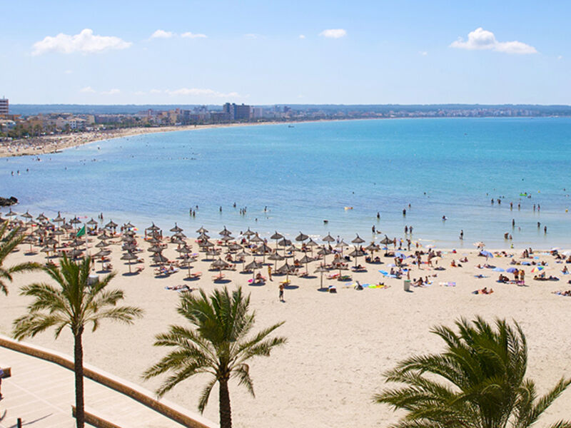 Bq Amfora Beach