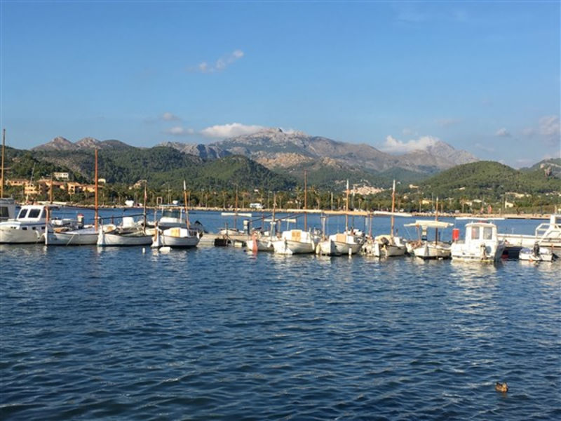 Brismar