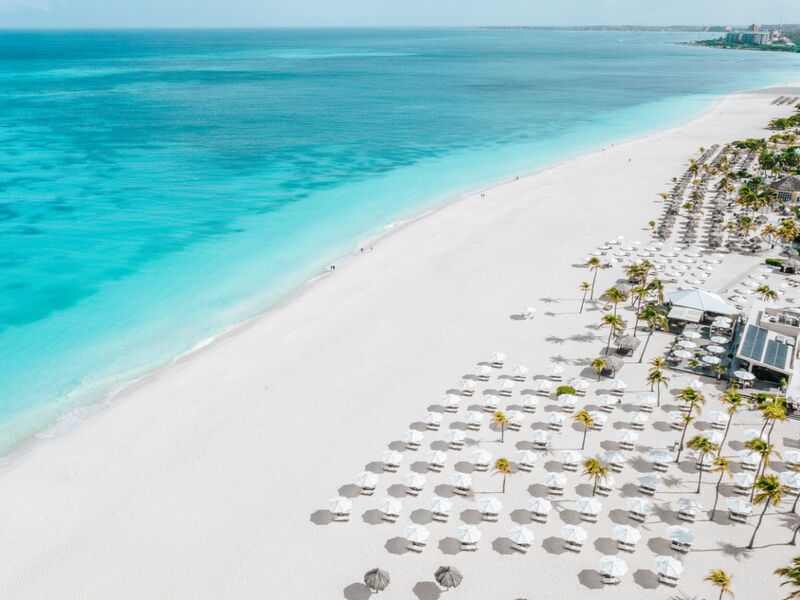 Bucuti Beach and Tara Suites