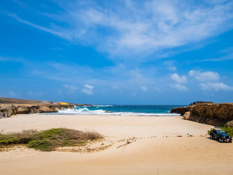 Bucuti Beach and Tara Suites