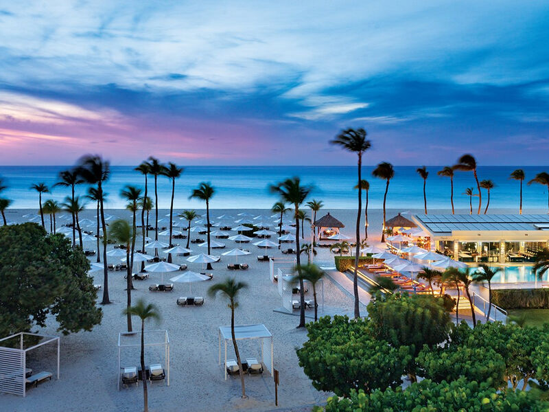 Bucuti Beach and Tara Suites