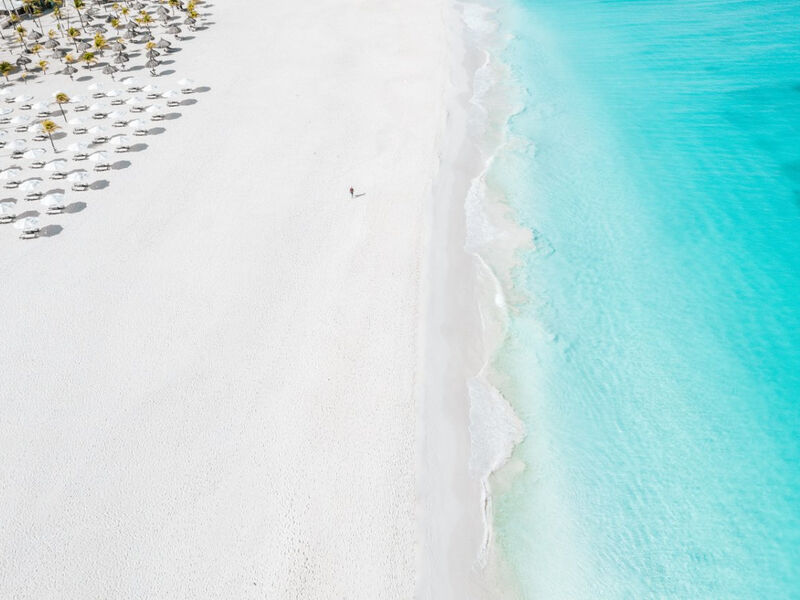 Bucuti Beach and Tara Suites