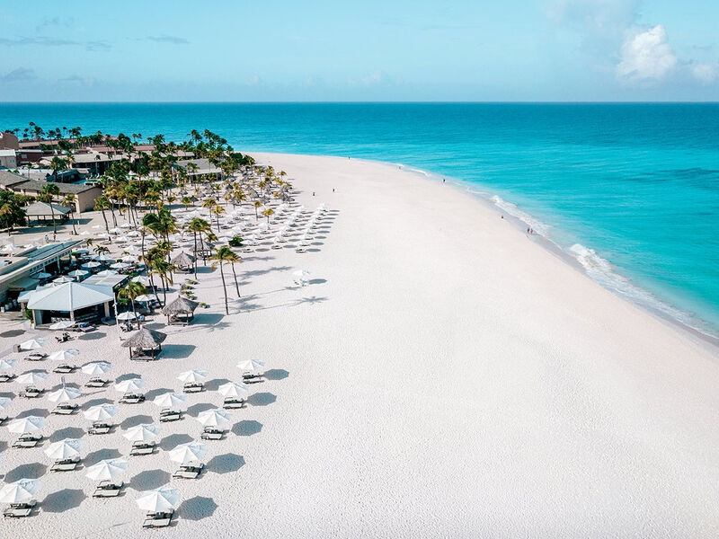 Bucuti Beach and Tara Suites