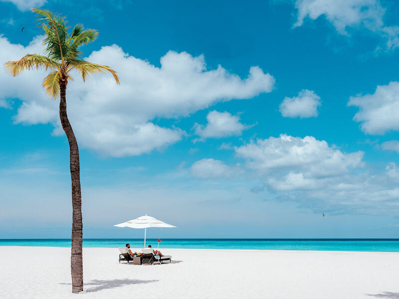 Bucuti Beach and Tara Suites