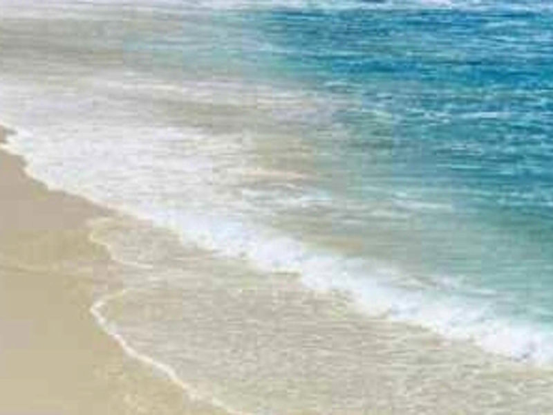 Bucuti Beach Resort