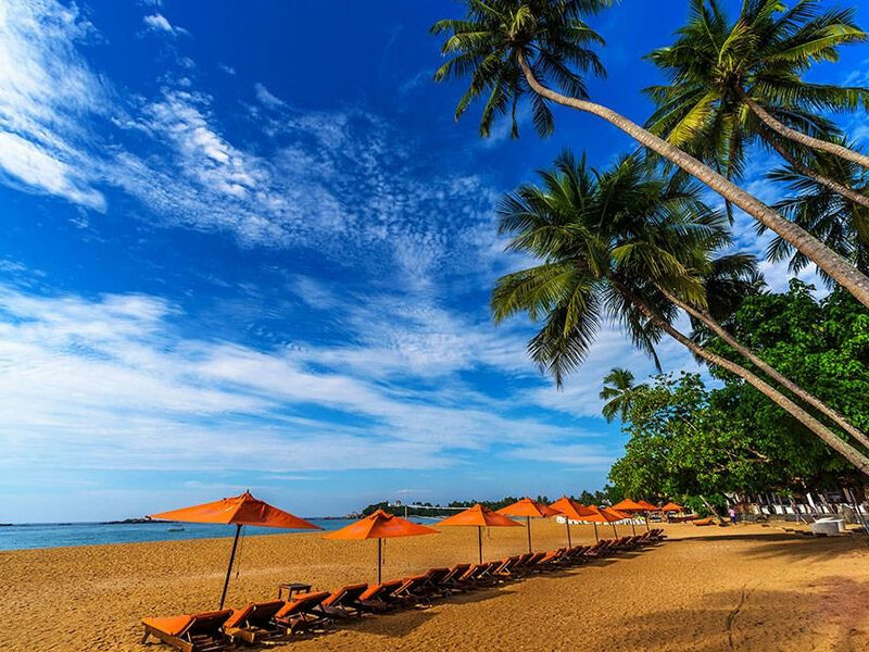 Calamander Unawatuna Beach