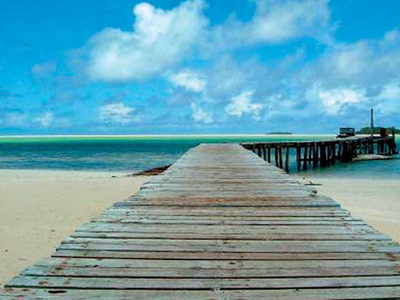 Carp Island Resort