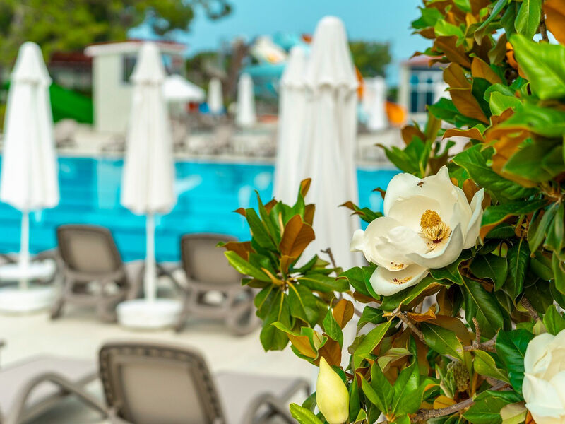 Casa Fora Beach Resort
