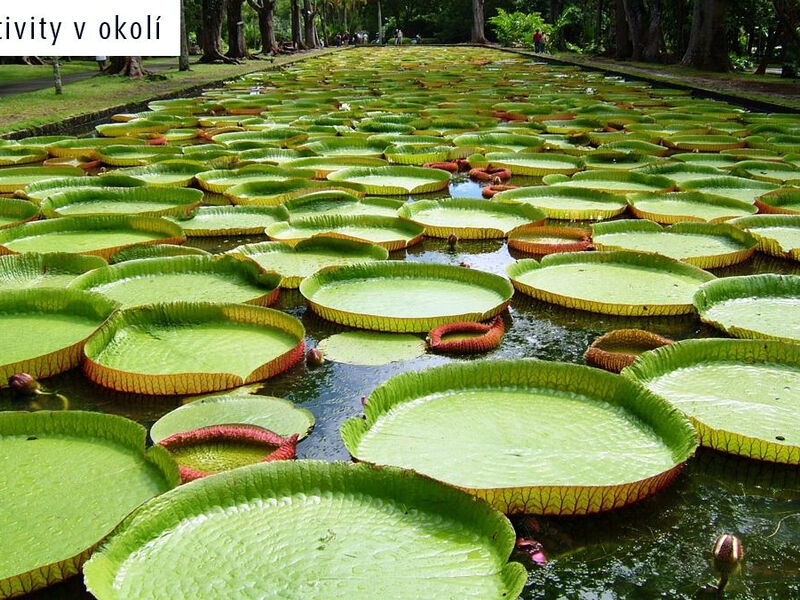 Casuarina Resort & Spa