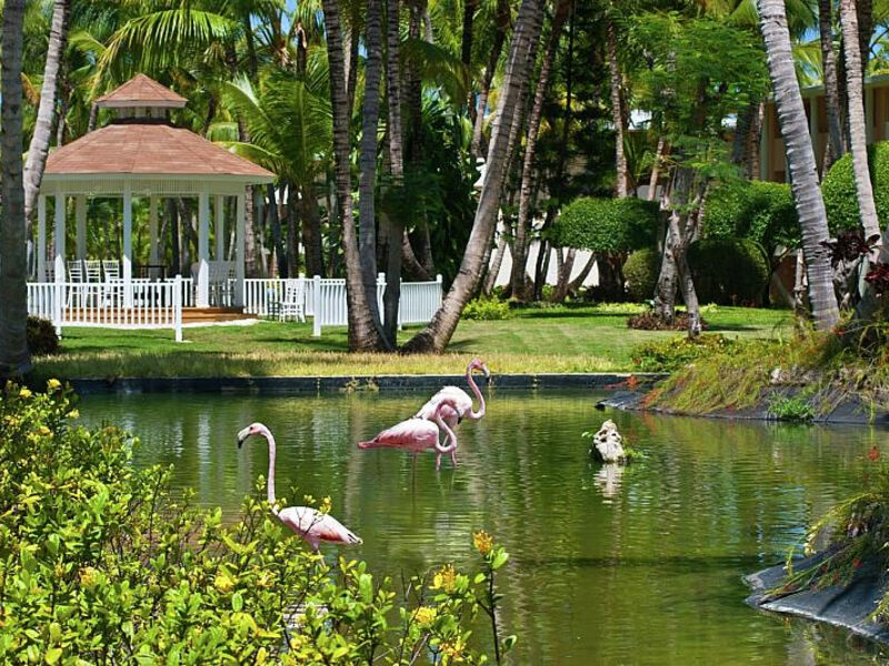 Catalonia BáVaro Beach & Golf Resort