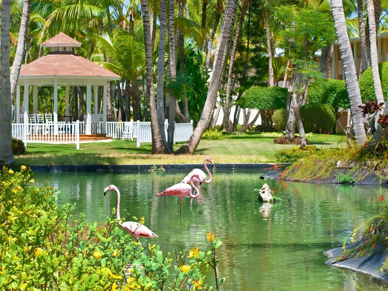 Catalonia Bavaro Beach & Golf Resort