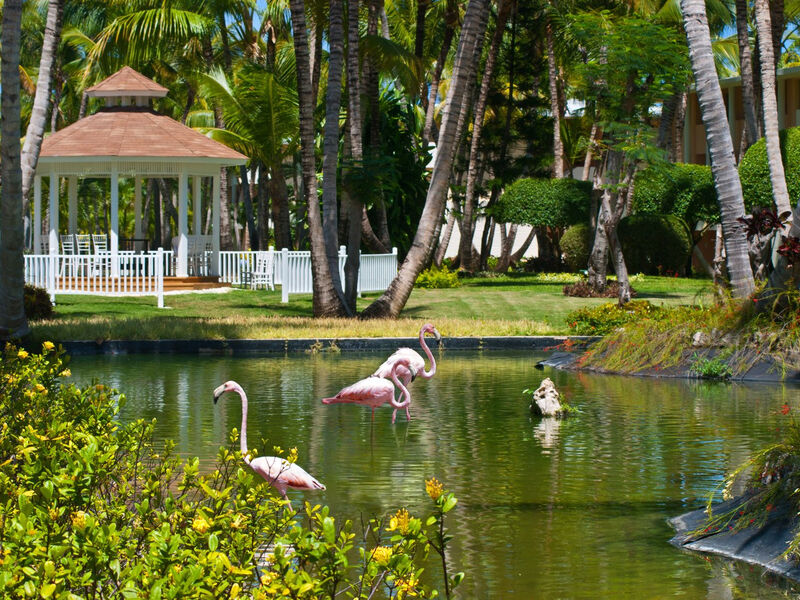 Catalonia Bavaro Beach & Golf Resort