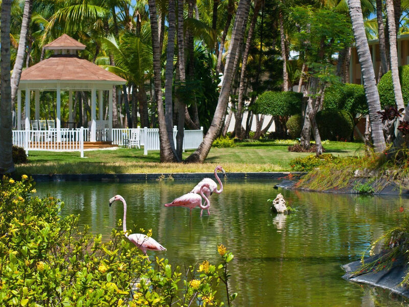 Catalonia Bavaro Beach & Golf Resort