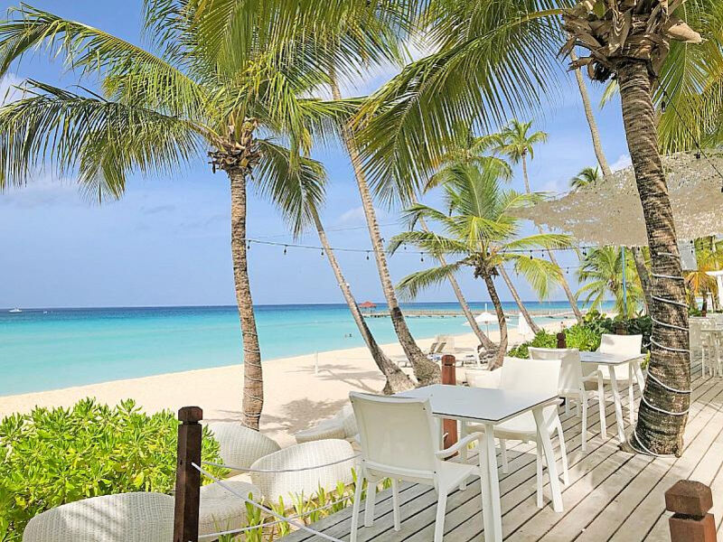 Catalonia Grand Dominicus