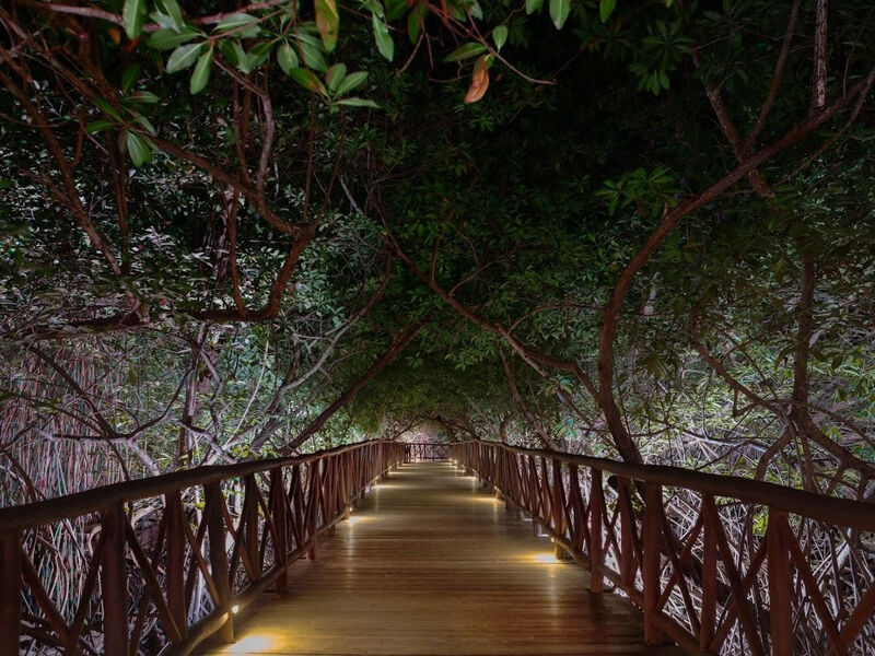 Catalonia Royal Tulum