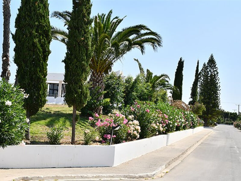 Cavo Mediterraneo