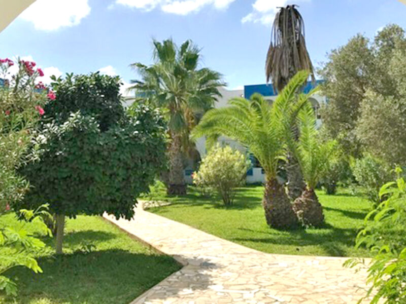 Cedriana