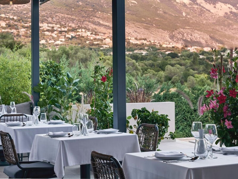 Celestial Hotel Luxury Suites and Spa