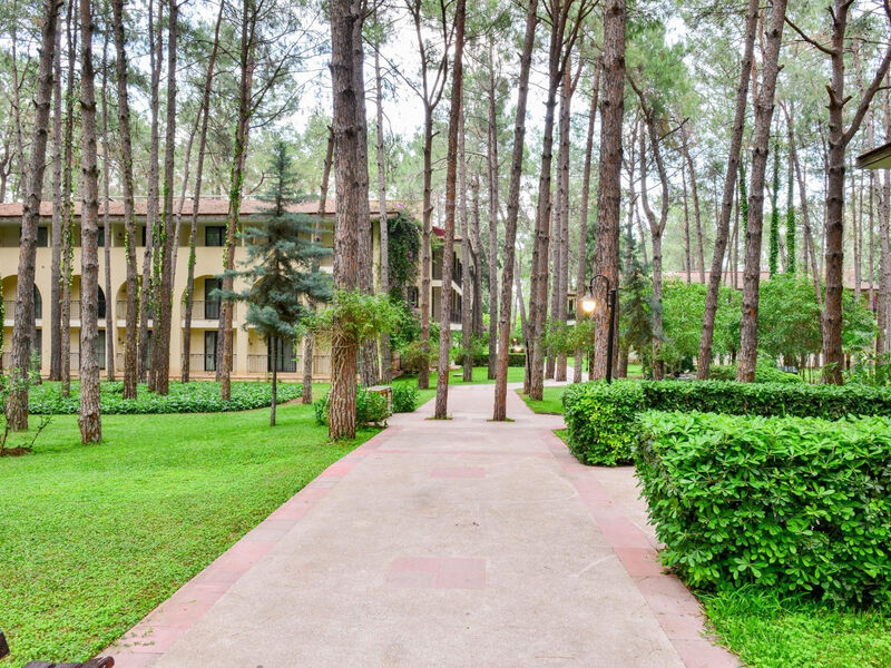 Champion Holiday Village
