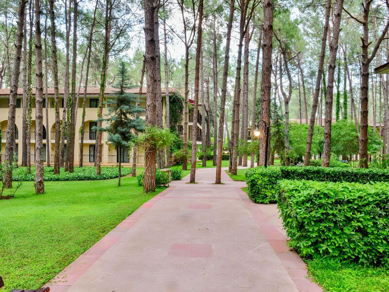 Champion Holiday Village