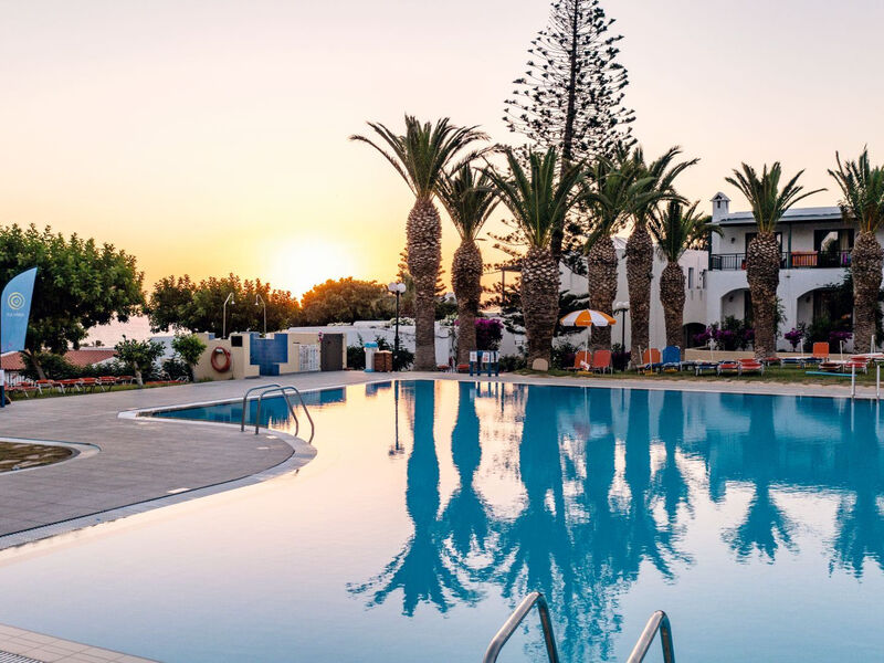 Tui Suneo Chrissi Amoudia