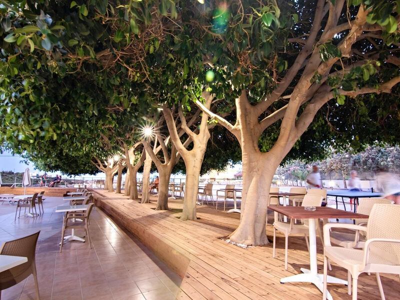 Chrissy´S Paradise