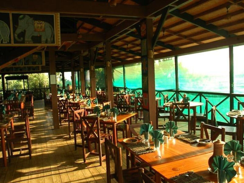 Cinnamon Wild Yala