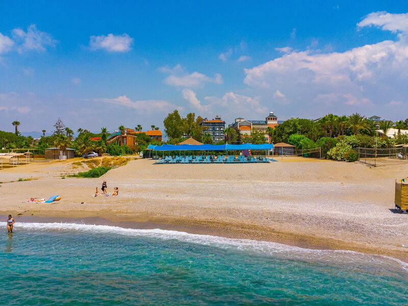 Clover Magic Garden Beach