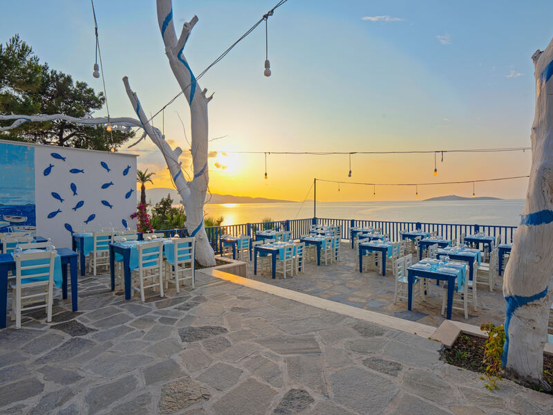 Blue Dreams Resort