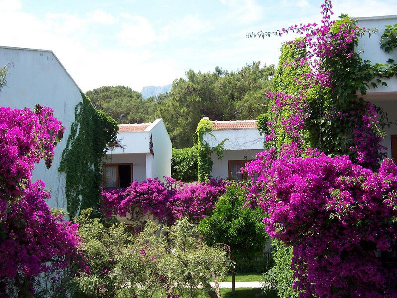 Club Boran Mare Beach
