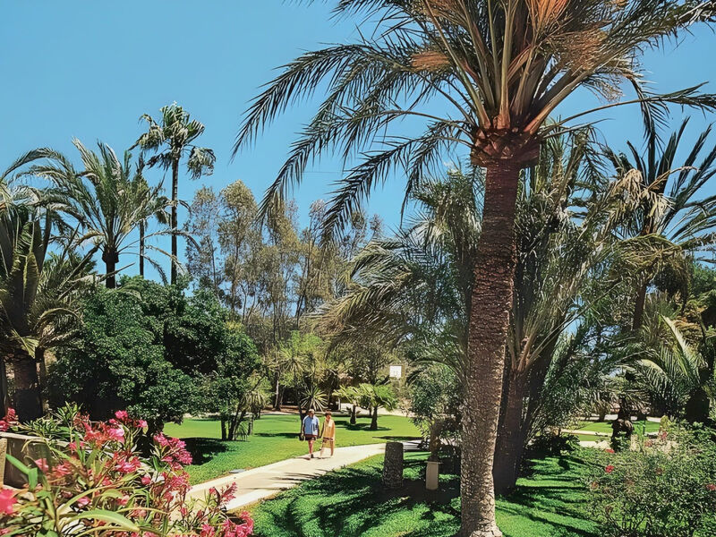 Club Cala Marsal
