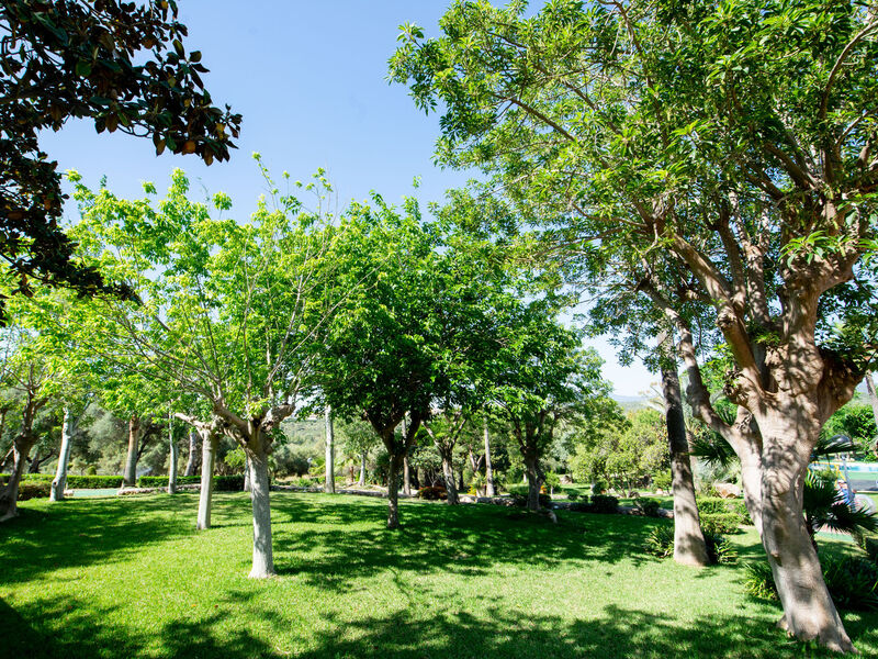 Club Cala Romani