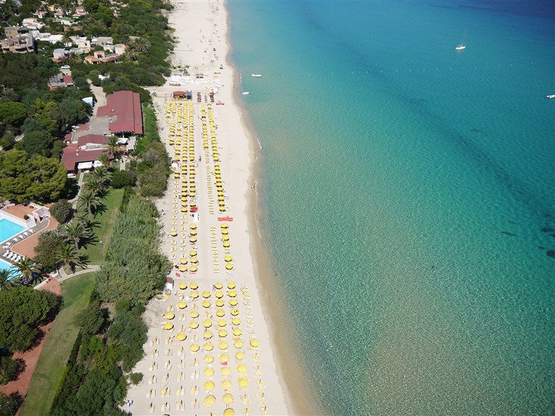 Club Free Beach