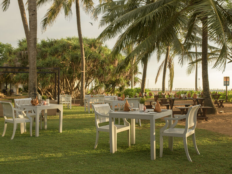 Club Hotel Dolphin
