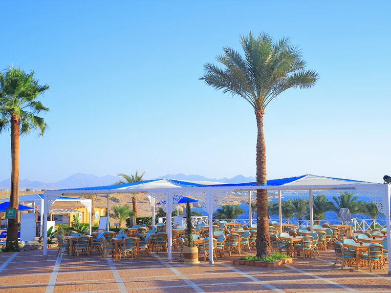 Club Reef Sharm El Sheikh Resort