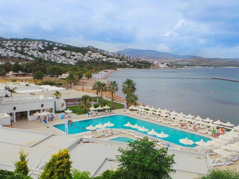 Club Sardunya