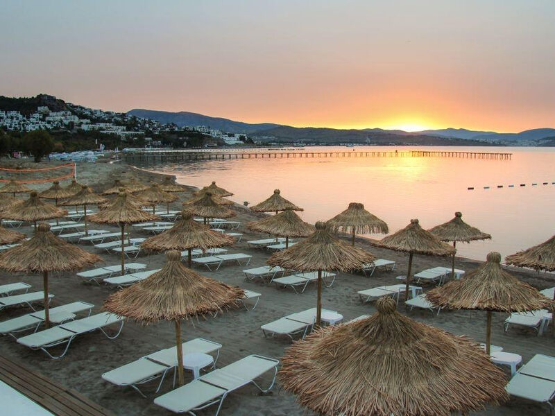 Club Sardunya