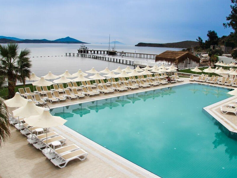 Club Sardunya