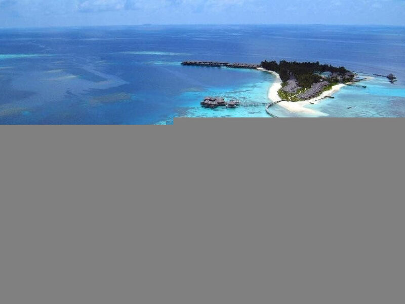 Coco Bodu Hithi