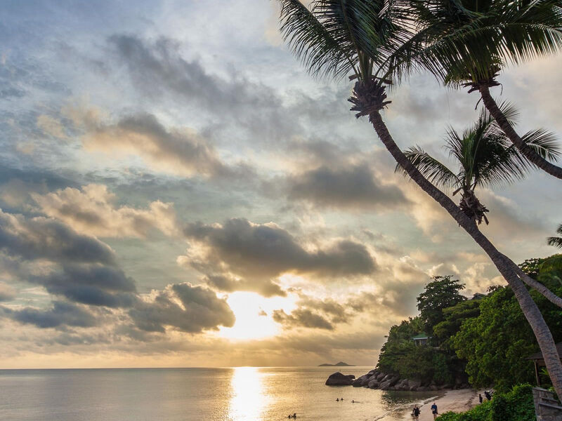 Coco De Mer & Black Parrot Suites